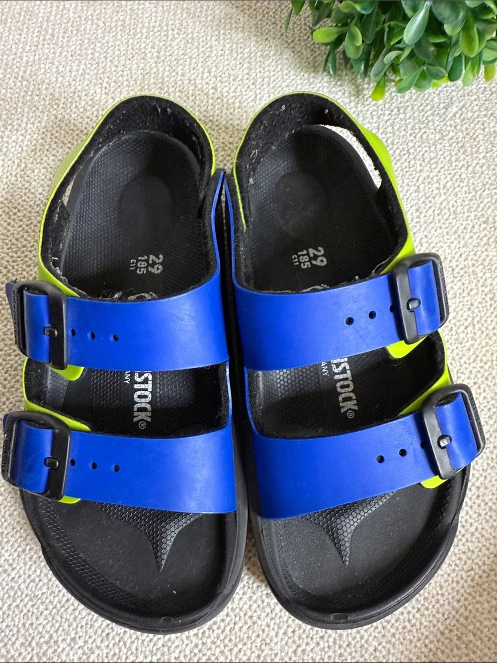 Birkenstock vibrant blue
